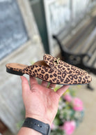 Corkys | Charmer | Mules | Leopard - Corkys Mules - Jimberly's Boutique - Olive Branch - Mississippi